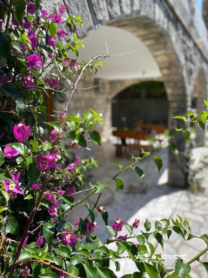 Aparthotel - Villa Jovicic Herceg Novi Exteriér fotografie
